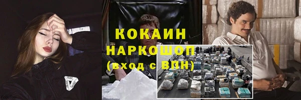 сатива Магадан