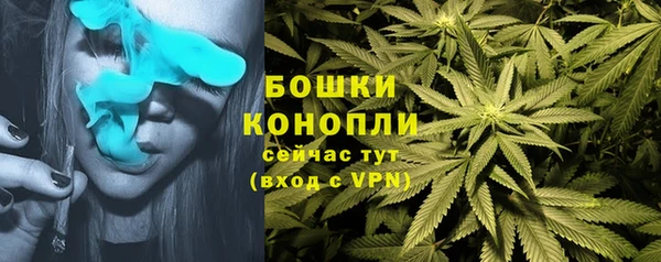 ПСИЛОЦИБИНОВЫЕ ГРИБЫ Лихославль