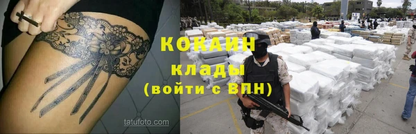 ПСИЛОЦИБИНОВЫЕ ГРИБЫ Лихославль