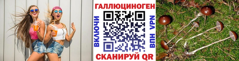 купить закладку Дыгулыбгей площадка наркотические препараты Галлюциногенные грибы Psilocybine cubensis